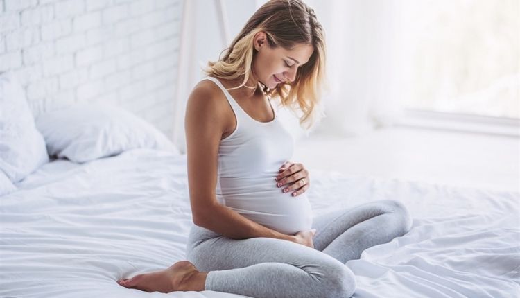 نمو الجنين في الأسبوع الخامس عشر من الحمل