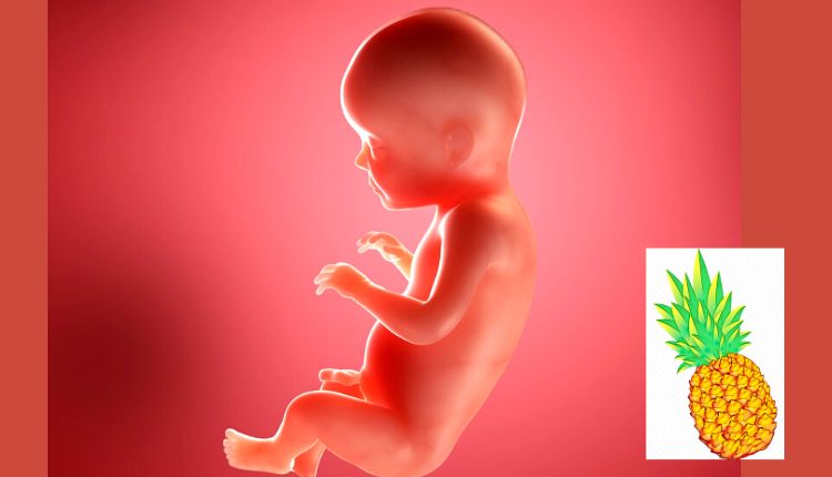 تطور الجنين في أسبوع الحمل الثامن والعشرين