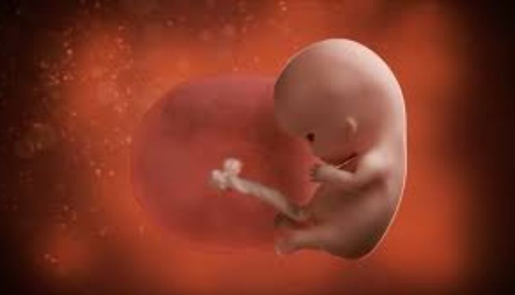 مراحل تطور الجنين في الأسبوع العاشر من الحمل