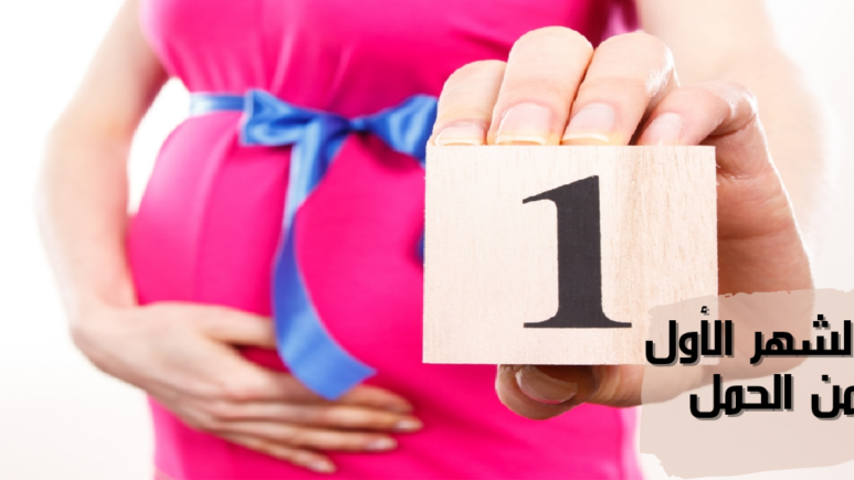 الشهر الأول من الحمل first month of pregnancy