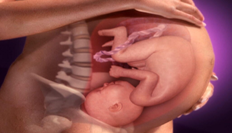 تطور الجنين في الاسبوع السابع والثلاثين من الحمل 